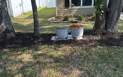 Photo of Indya D.'s yard after getting tree care in Homestead, FL