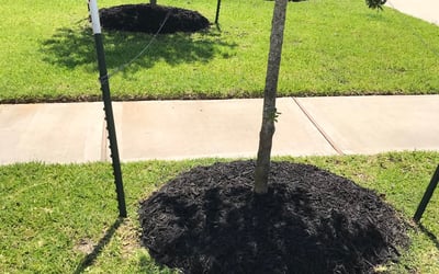 Photo of Jon A.'s yard after getting lawn care in Poulsbo, WA