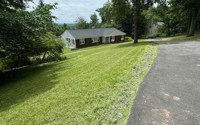 Photo of Bonnie A.'s yard after getting lawn care in Flemington, NJ
