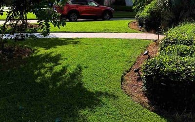 Photo of Katrina L.'s yard after getting lawn care in Pearl River, LA
