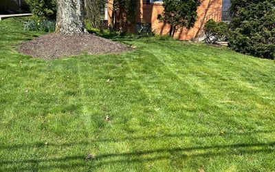 Photo of Jonathan S.'s yard after getting lawn care in Bethel Park, PA
