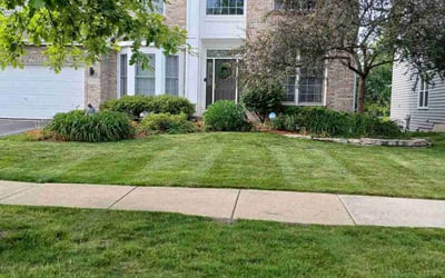 Photo of Valerie C.'s yard after getting lawn care in Oswego, NY