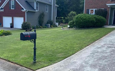Photo of Annette A.'s yard after getting lawn care in Jackson, GA