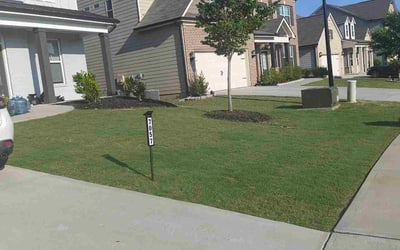Photo of Luis C.'s yard after getting lawn care in Flowery Branch, GA