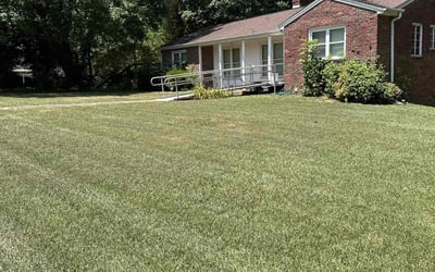 Photo of Yvonne W.'s yard after getting lawn care in Anderson, SC