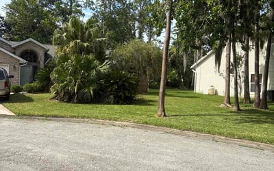 Photo of Rob D.'s yard after getting lawn care in Essex, MD