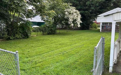 Photo of Jodi C.'s yard after getting lawn care in Rockford, MI