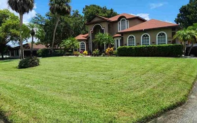 Photo of Tonnett D.'s yard after getting lawn care in Immokalee, FL