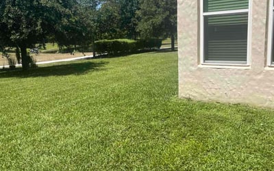 Photo of Kyli U.'s yard after getting lawn care in Plano, TX