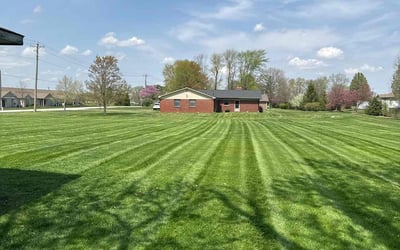 Photo of Tyler G.'s yard after getting lawn care in Noblesville, IN