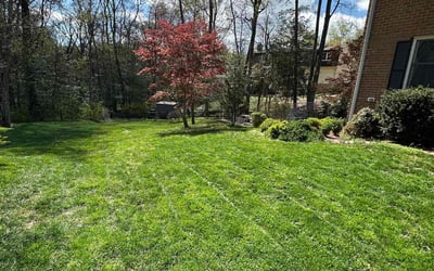Photo of Arlette J.'s yard after getting lawn care in McLean, VA