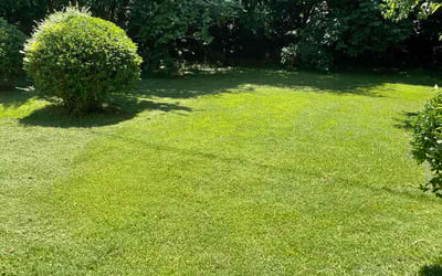 Photo of Ray O.'s yard after getting lawn care in Millington, TN
