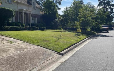 Photo of Steve R.'s yard after getting lawn care in Cabot, AR