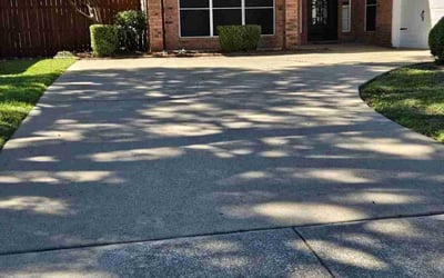 Photo of Mary C.'s yard after getting lawn care in Alvarado, TX