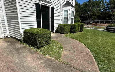 Photo of Connor Y.'s yard after getting lawn care in Odenville, AL