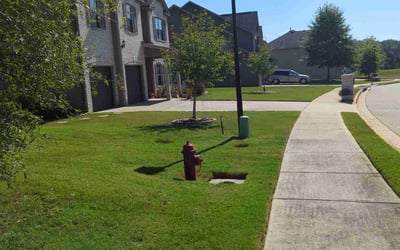 Photo of Harold W.'s yard after getting lawn care in La Fayette, GA