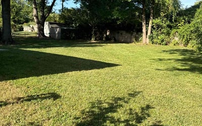 Photo of Dennis L.'s yard after getting lawn care in Kansas City, MO
