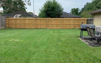 Photo of MARY G.'s yard after getting lawn care in Jamaica, NY