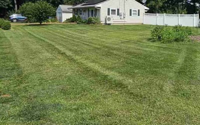 Photo of John P.'s yard after getting lawn care in Westborough, MA