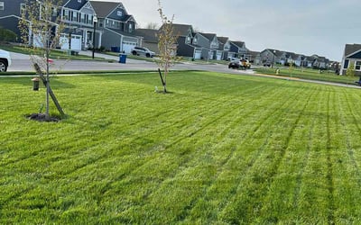 Photo of Tina H.'s yard after getting lawn care in Tipp City, OH