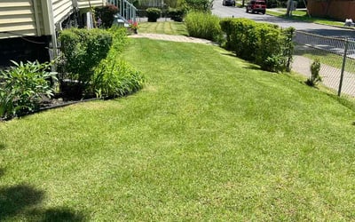 Photo of Joshua H.'s yard after getting lawn care in Highland, IN
