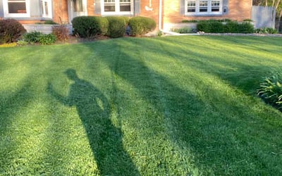 Photo of Summer J.'s yard after getting lawn care in Waukegan, IL