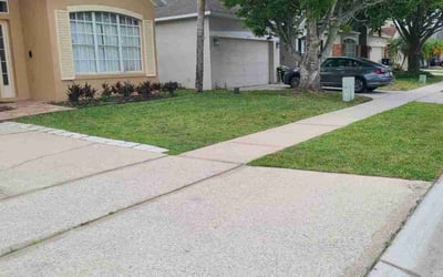 Photo of Kwame I.'s yard after getting lawn care in Conyers, GA