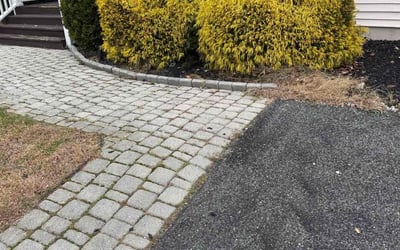 Photo of Mitzi M.'s yard after getting lawn care in Miami Gardens, FL