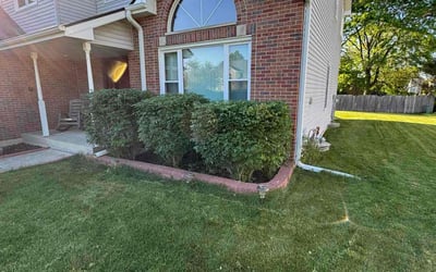 Photo of Blair A.'s yard after getting lawn care in Matteson, IL