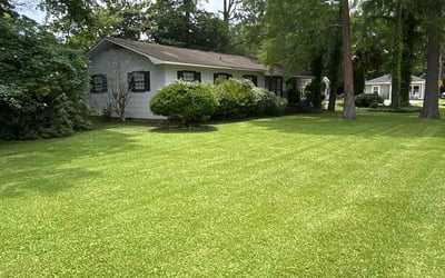 Photo of Andria S.'s yard after getting lawn care in Saraland, AL