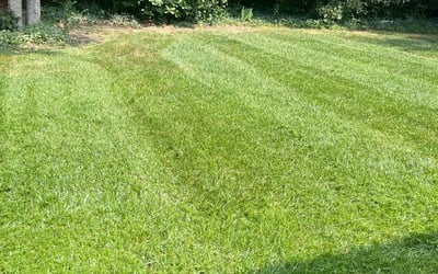 Photo of Cheol-Min Y.'s yard after getting lawn care in Lithia, FL