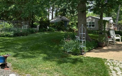 Photo of Anne M.'s yard after getting lawn care in Hermitage, TN