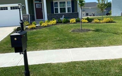 Photo of Lamine S.'s yard after getting lawn care in Fishers, IN