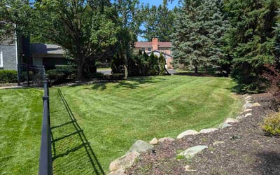 Photo of Stephanie M.'s yard after getting lawn care in Orlando, FL