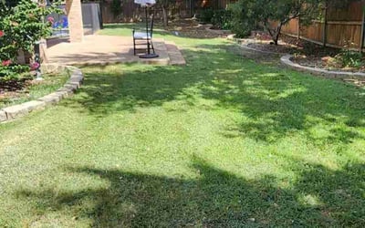 Photo of Trish V.'s yard after getting lawn care in Southlake, TX