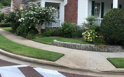 Photo of Tony C.'s yard after getting lawn care in Collierville, TN