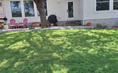 Photo of Ma L.'s yard after getting lawn care in San Antonio, TX