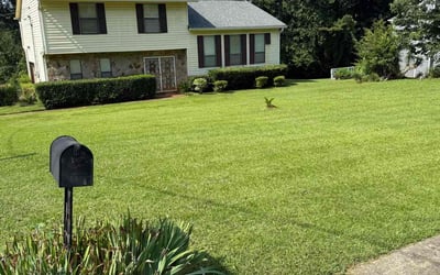Photo of Sharon Y.'s yard after getting lawn care in Lawrenceville, GA