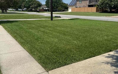 Photo of Teneashia C.'s yard after getting lawn care in Sylvania, OH