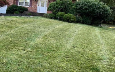 Photo of Robert G.'s yard after getting lawn care in New City, NY