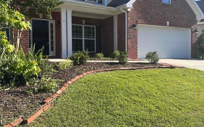 Photo of Terry L.'s yard after getting tree care in Covington, KY