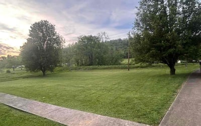 Photo of Joseph B.'s yard after getting lawn care in Blountville, TN