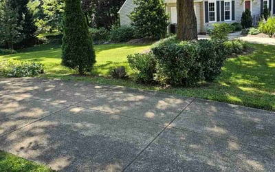 Photo of Timothy B.'s yard after getting lawn care in Burke, VA