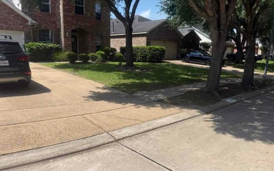Photo of Rosalie B.'s yard after getting lawn care in Drexel Hill, PA