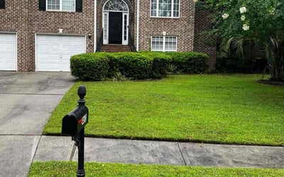 Photo of Keke C.'s yard after getting lawn care in Pooler, GA