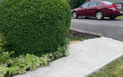 Photo of Maurice B.'s yard after getting lawn care in Columbia, SC