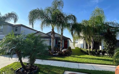 Photo of Dee N.'s yard after getting lawn care in Clark, NJ