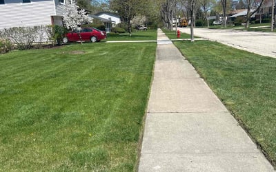 Photo of Maria N.'s yard after getting tree care in Palatine, IL