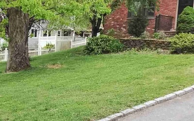 Photo of Emily K.'s yard after getting lawn care in Verona, NJ