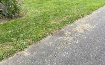 Photo of Hester D.'s yard after getting lawn care in West Islip, NY